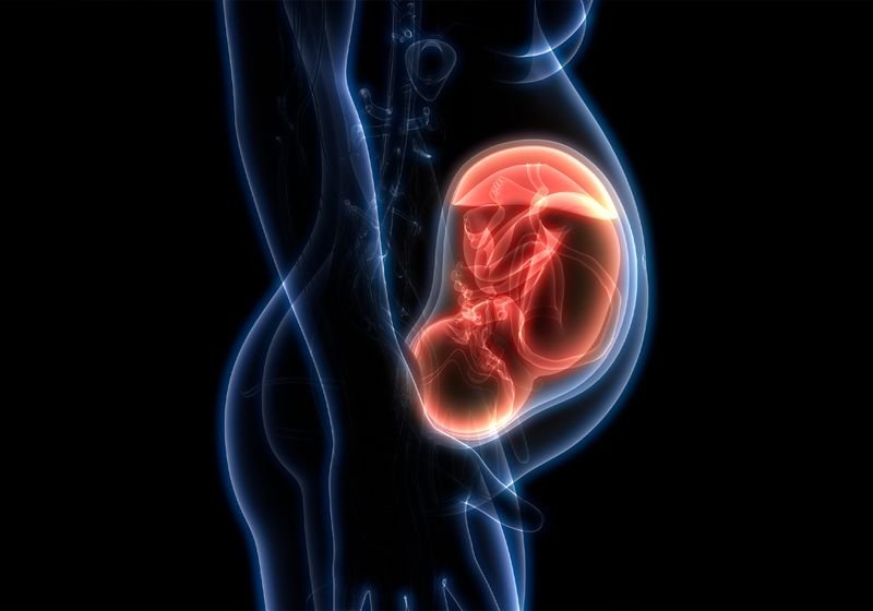 Placental Gene Expression Hints at Preterm Birth
