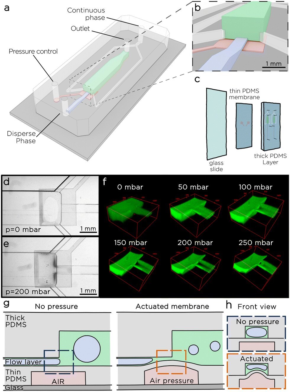 Researchers design novel microfluidic module for controlling the porosity of manufactured materials