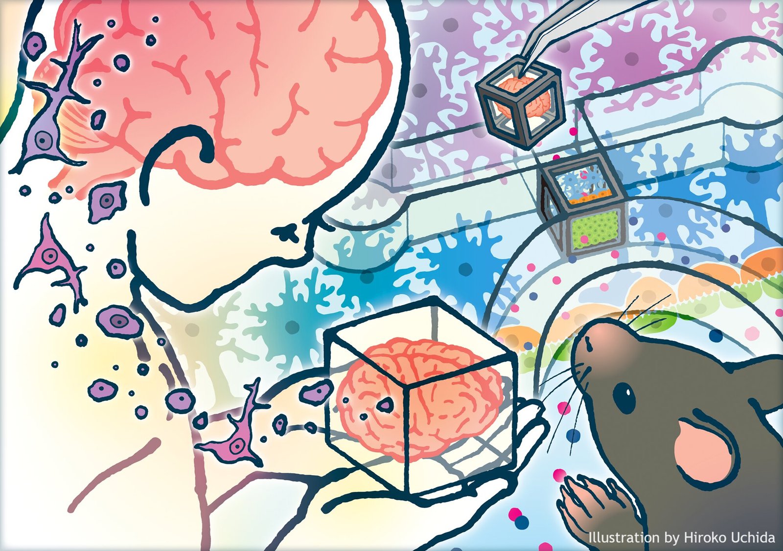 Researchers model blood brain barrier using Tissue in a CUBE system