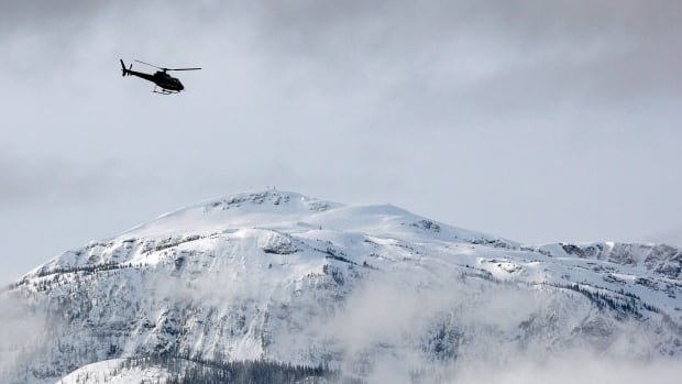 Snowmobiler killed in avalanche near Alberta’s Castle Mountain ski resort