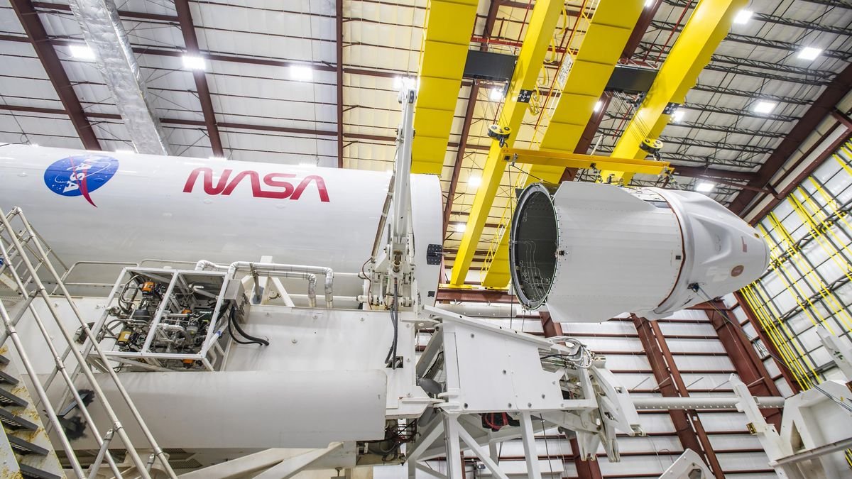 A white SpaceX Endeavour Dragon capsule is mated to its Falcon 9 rocket with NASA logos on white backgrounds