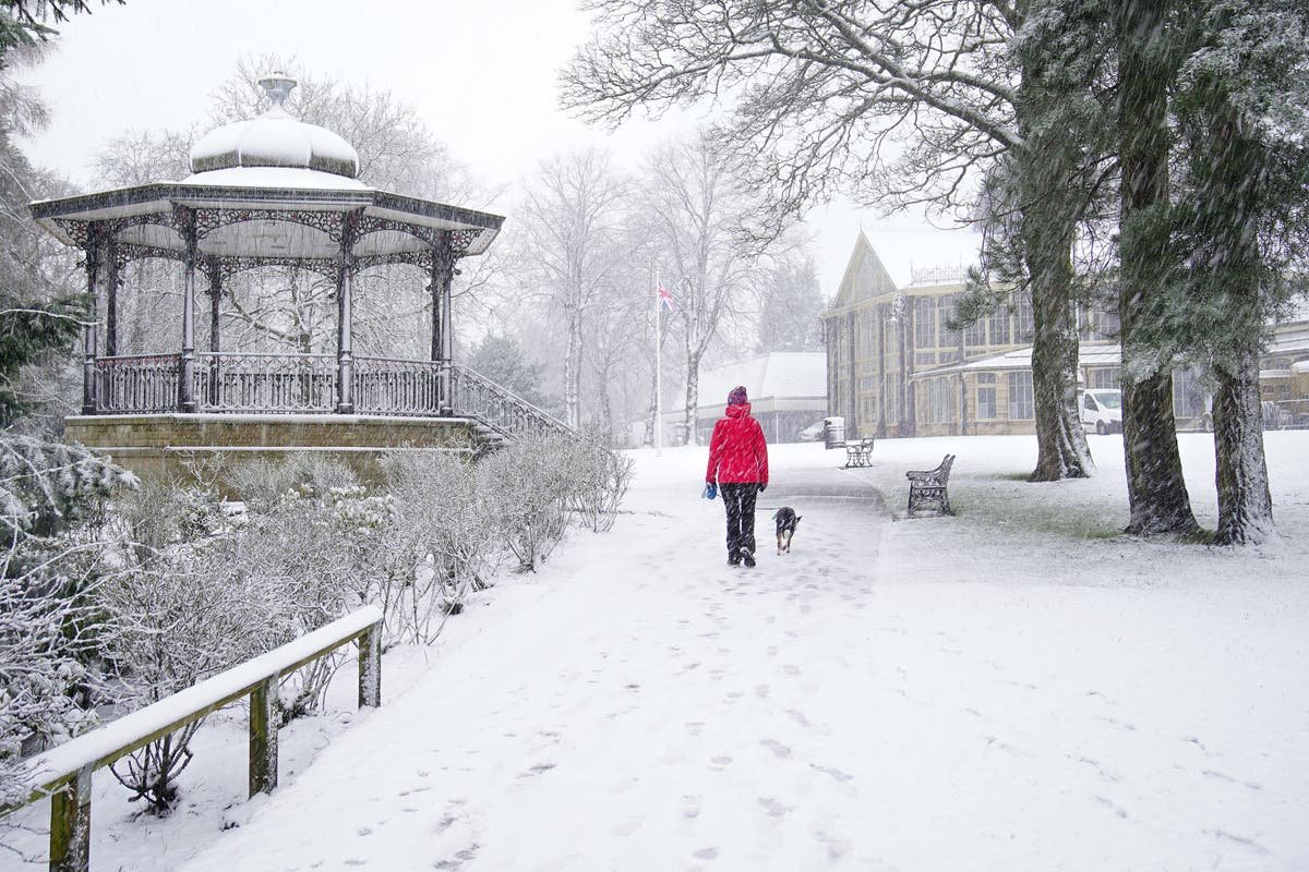 UK weather LIVE Snow shuts hundreds of schools as Met Office issues amber weather warning