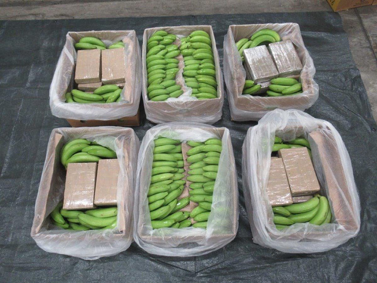 UKs largest ever class A drugs haul found hidden in bananas at port