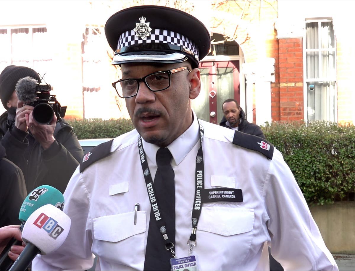 What is difference between acid and alkaline Police confirm substance thrown at mother and children in Clapham