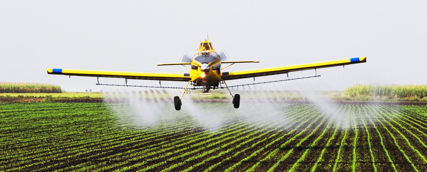 Widespread Prevalence of Banned Crop Chemical In US Food Supply Sparks Concerns : ScienceAlert