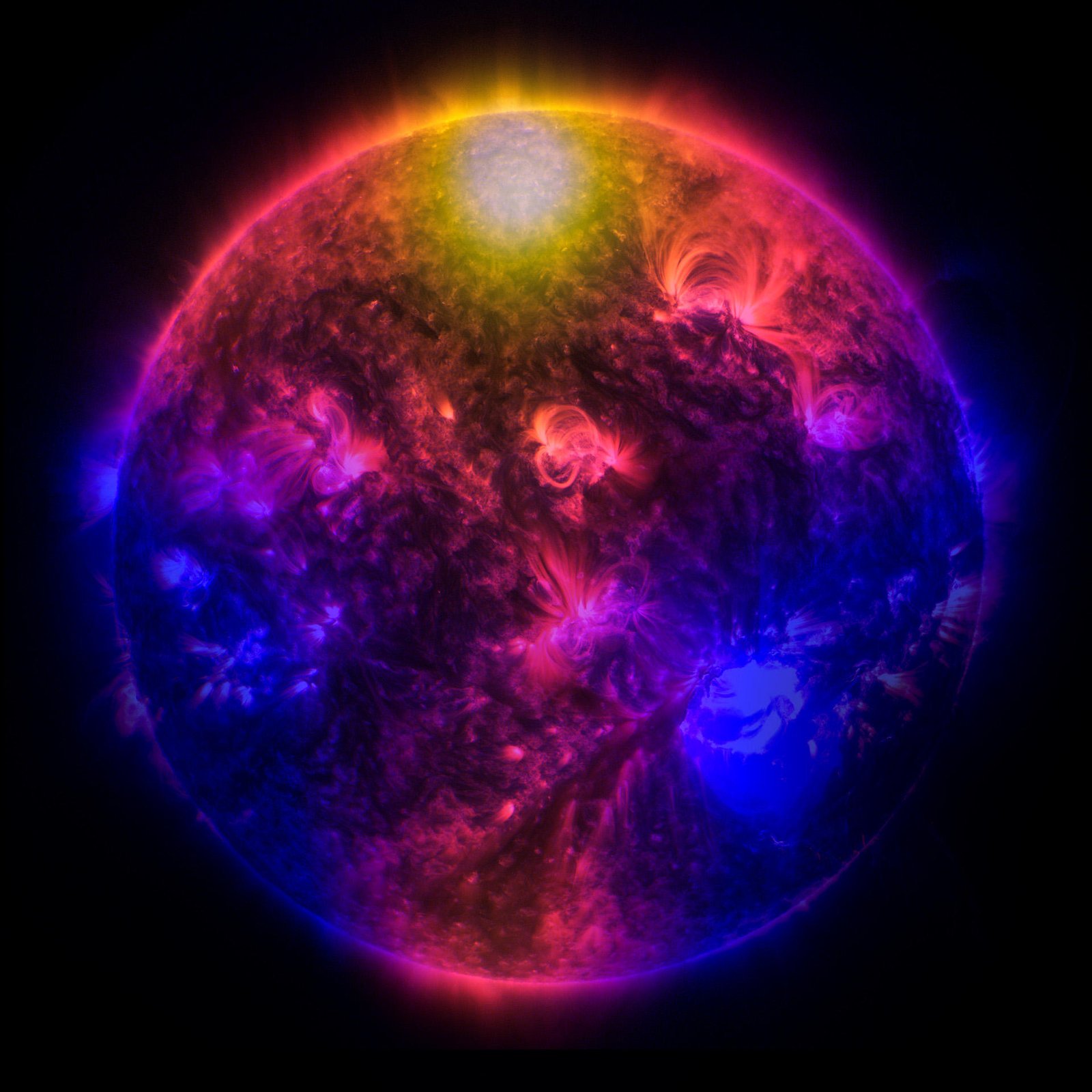 Will the Next Solar Maximum Solve the Puzzle of the Sun’s Gamma-Ray Picture?
