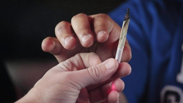 Winnipeg foster home operator that gave cannabis to kids in care blasts province’s decision to cut ties