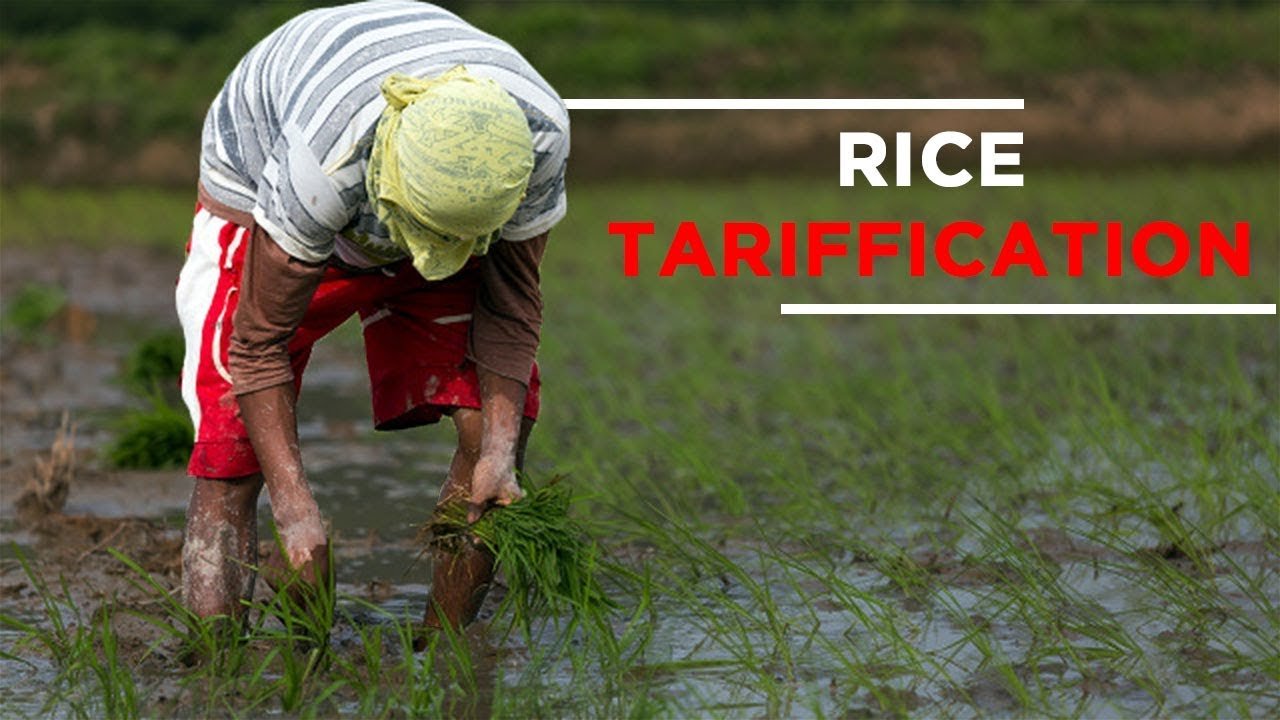 BBM VLOG #71: Rice Tariffication | Bongbong Marcos