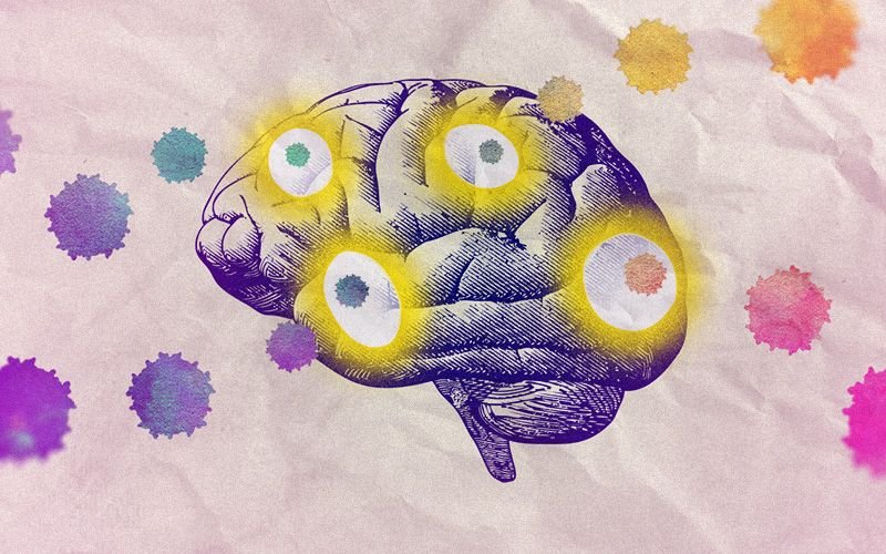 A Journey Into the Brain