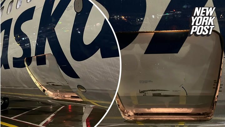 Alaska Airlines flight carrying pets arrives with cargo door open | News