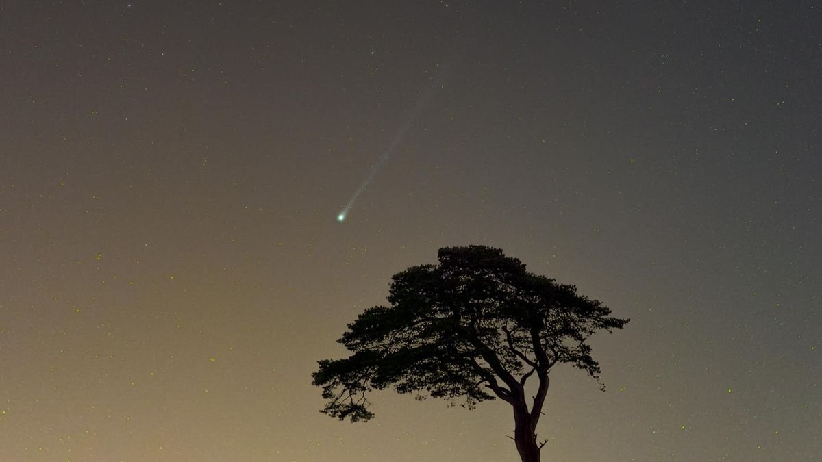 Comet 12PPons Brooks appears as a green streak in the sky above a single silhouetted tree