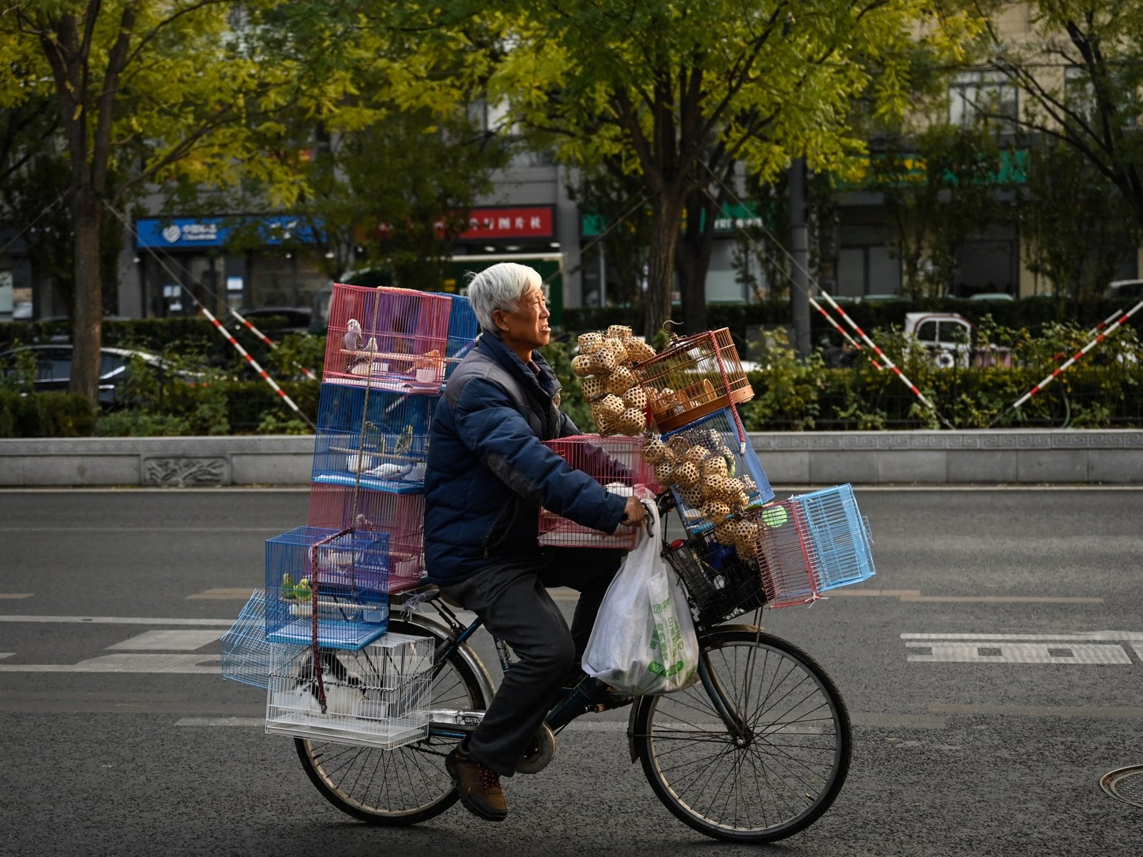 As China ages senior citizens see a retirement of striving to get by | Business and Economy