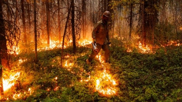 BC officials warn of early challenging wildfire season