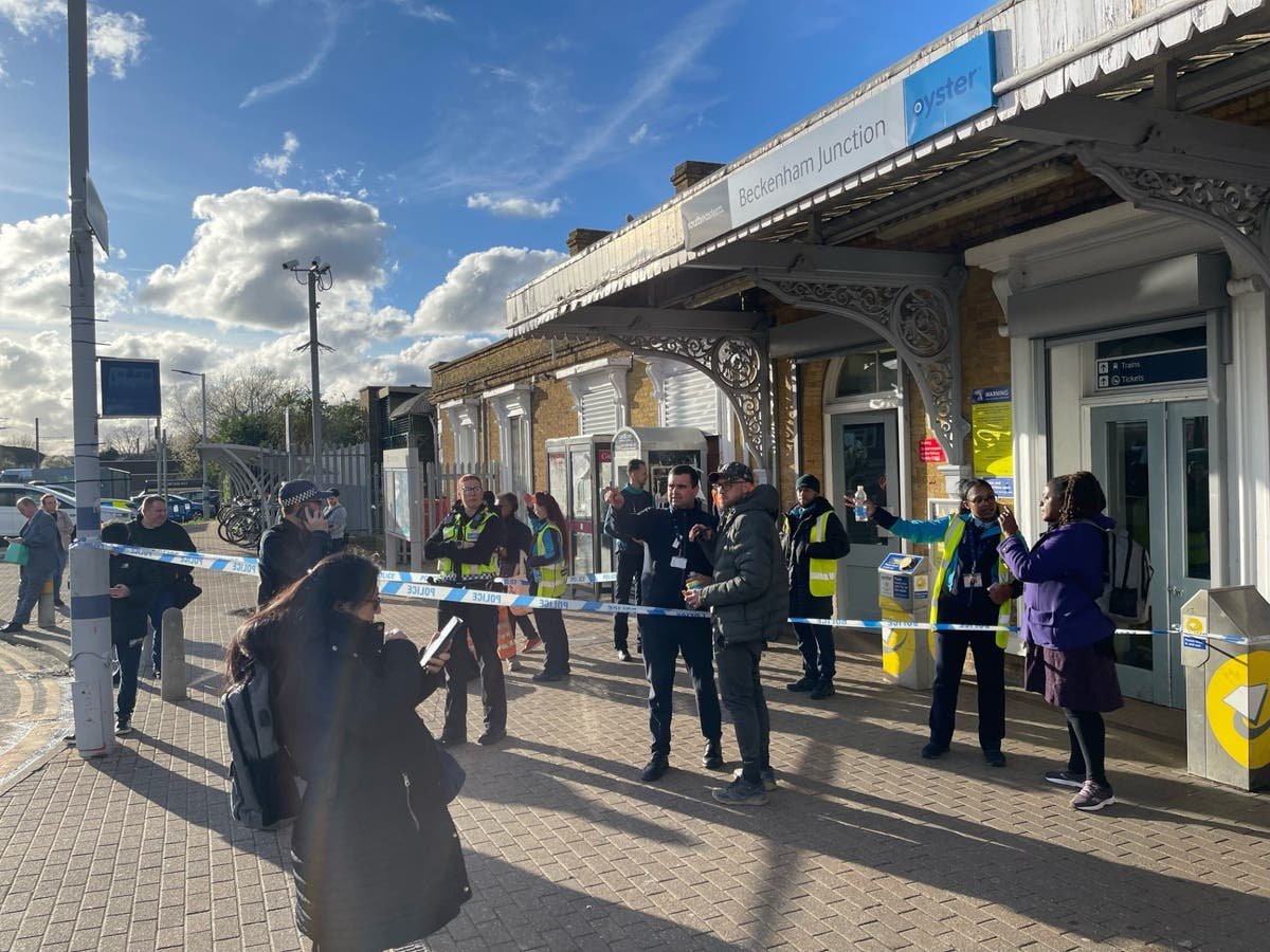 Beckenham train stabbing Teenager arrested for attempted murder as victim fights for life