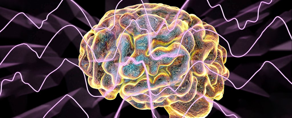 Brain Waves Move in Opposite Directions For Memorizing And Recalling ScienceAlert