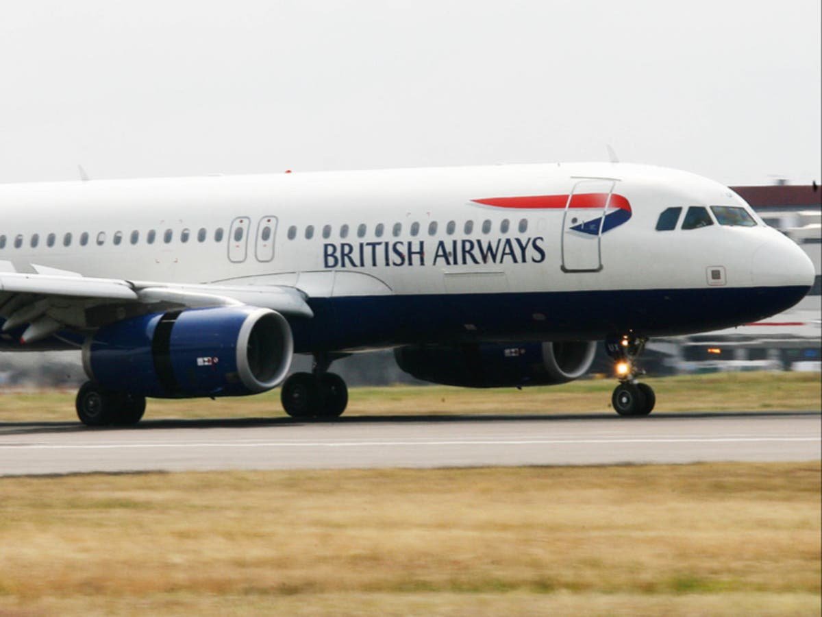 British Airways flight 5ft from disaster after near miss with drone at 10000ft
