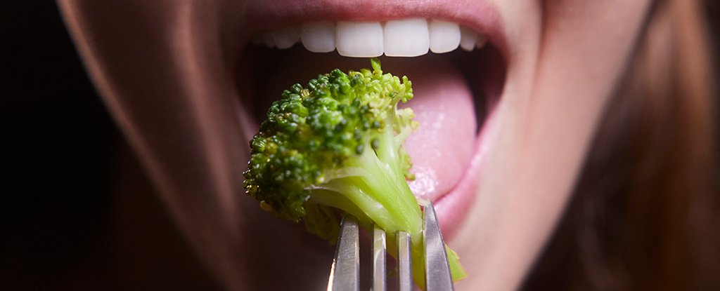Broccoli’s Anti-Cancer Compound Could Have a Whole Other Health Benefit : ScienceAlert
