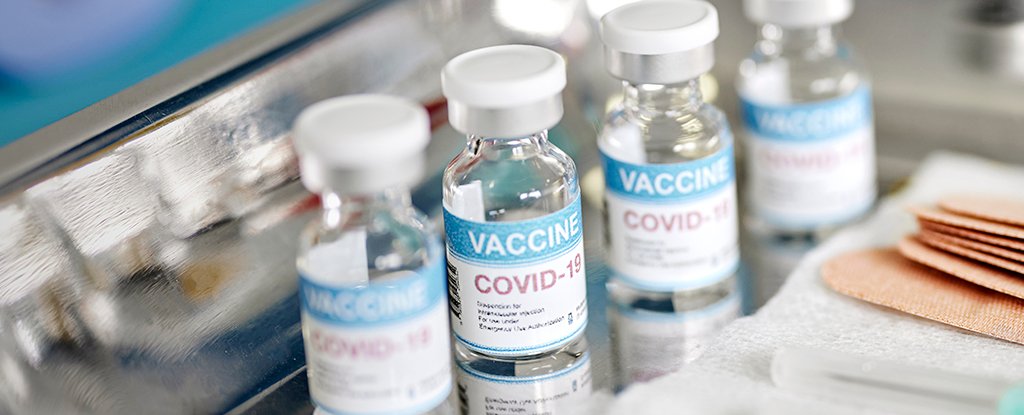 COVID 19 Vaccines Lower Risk of Heart Failure After Virus Infection ScienceAlert