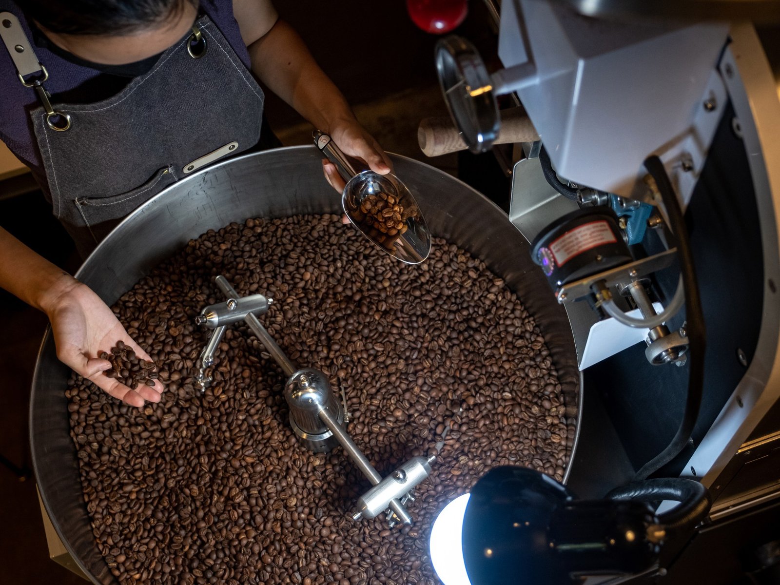 Climate change is killing quality coffee Can Vietnams Robusta save it | Food