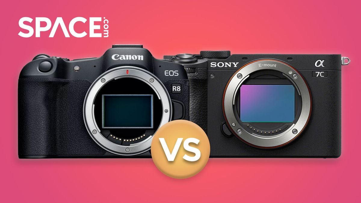 Comparison: Canon EOS R8 vs Sony A7C II