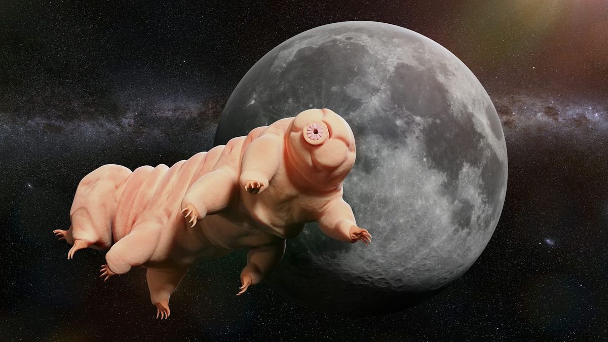 a pinkish wrinkly eight legged creature with a small hold on its faceless head floats larger than life in space the large moon protrudes the background