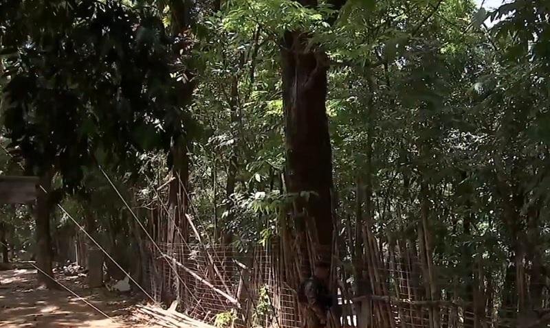 DILG reiterates Masungi Georeserve a protected forest reserve