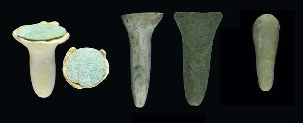 Earliest Direct Evidence of Body Piercings Uncovered in Neolithic Graves ScienceAlert