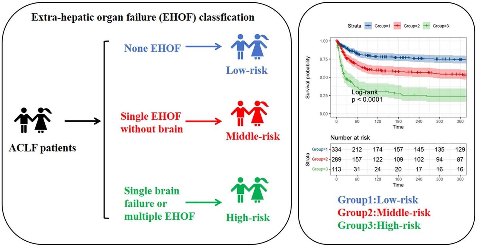 Impact of onset time number type and sequence of extrahepatic organ failure on prognosis of liver failure