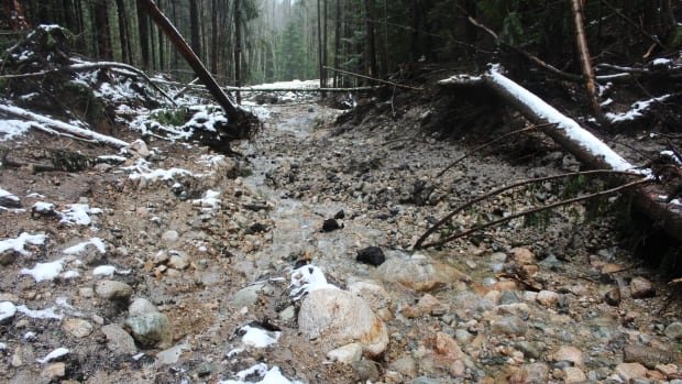 In B.C.’s forests, a debate over watershed science with lives and billions at stake