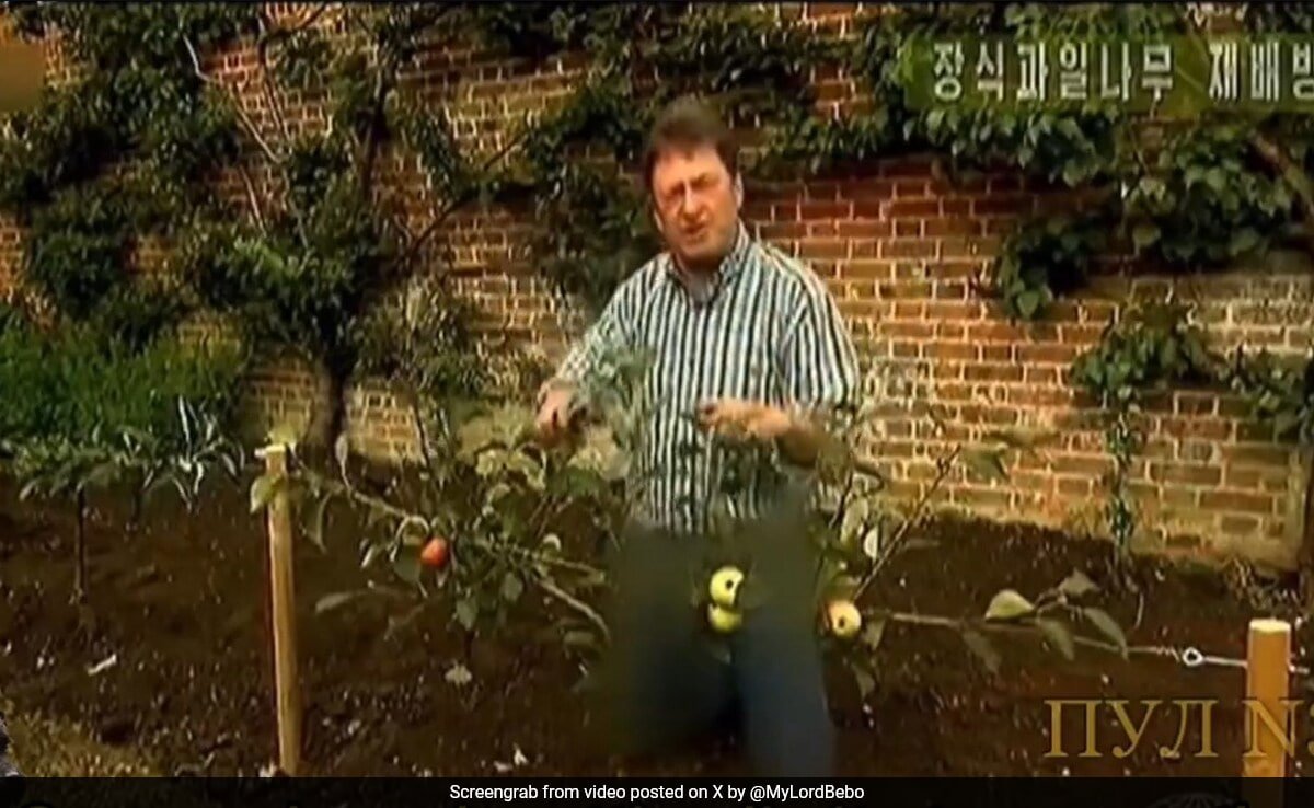 North Korea TV Censors British Gardening Show Presenters Trousers