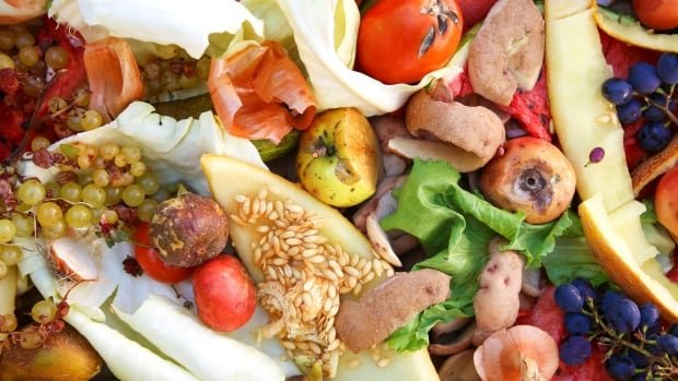 Over 1 billion meals went to waste a day in 2022 UN food waste report
