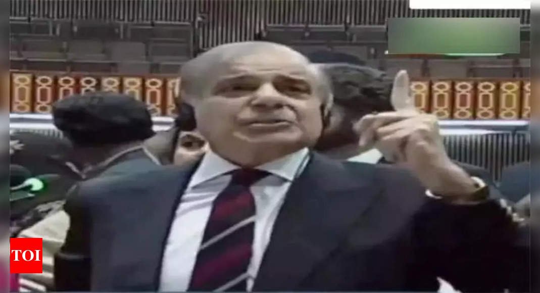 Pakistan PM designate Shehbaz Sharif calls for freedom of Kashmiris Palestinians in victory speech