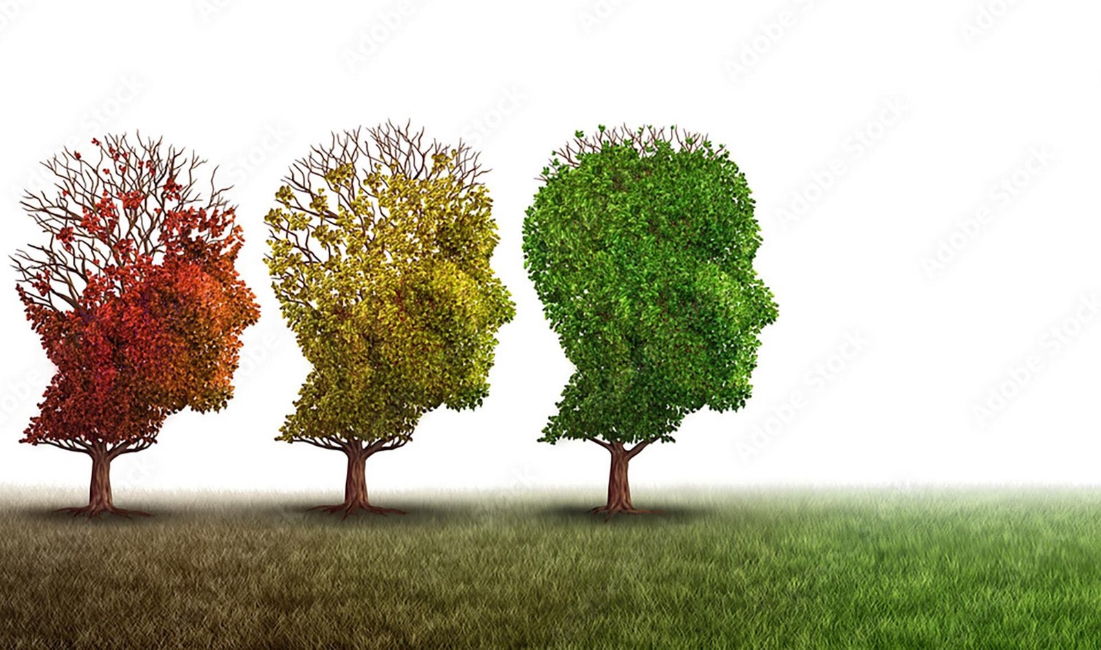 Research team identifies new treatment target for Alzheimers disease