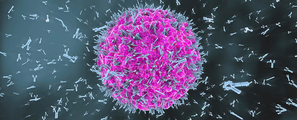 Scientists Find Switch That Stops Immune System Attacking Healthy Cells ScienceAlert
