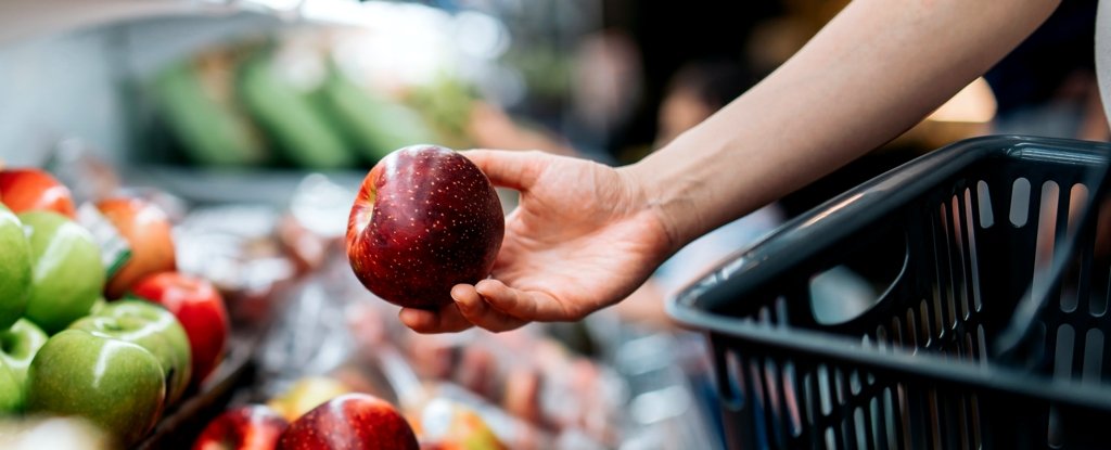 Scientists Warn The Price of Food Is Expected to Increase Every Year From Now on ScienceAlert