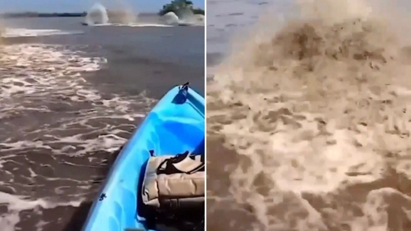 Shocking POV vid shows moment kayaker is nearly capsized by pack of mystery sea blobs that suddenly thrash in water