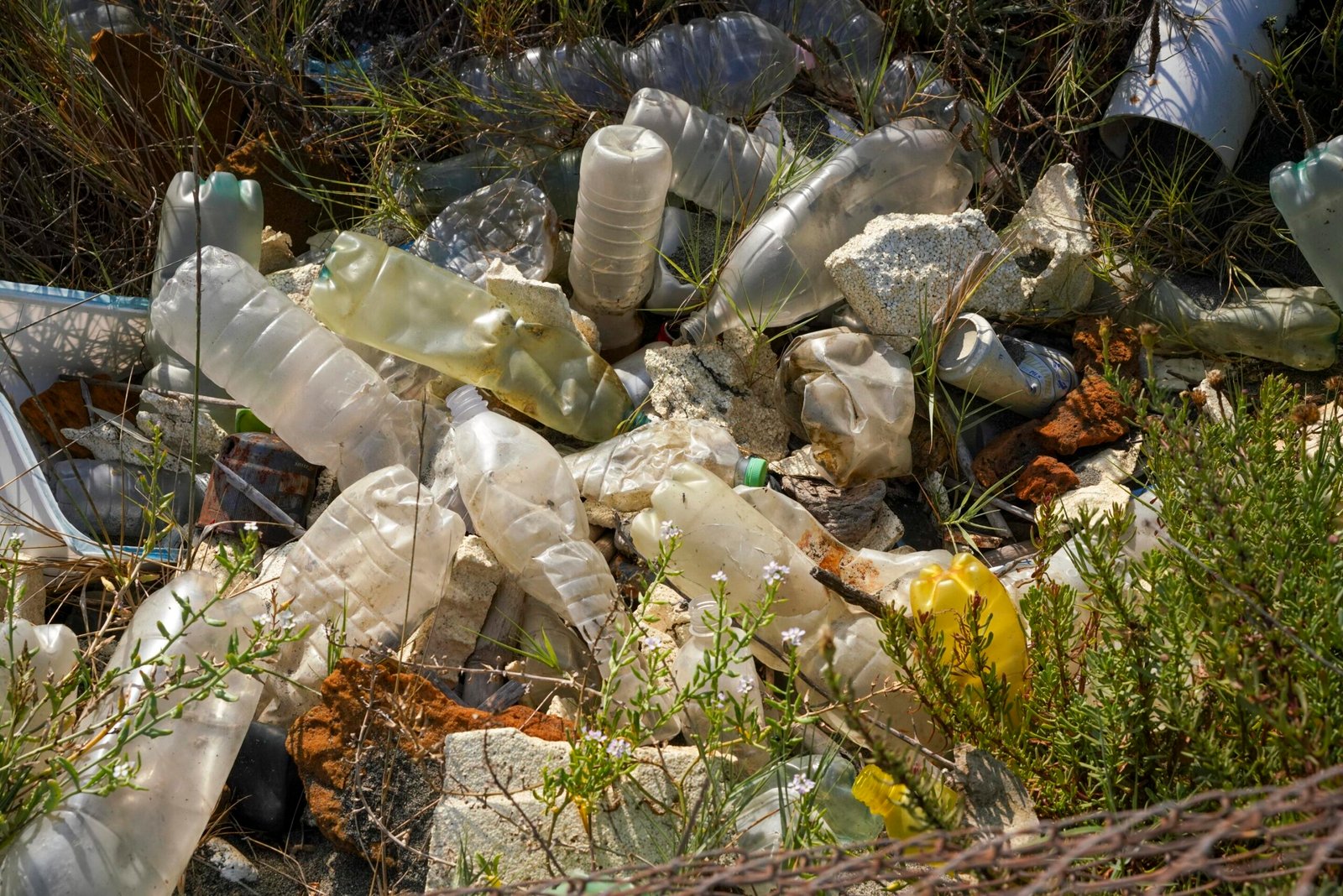 Study raises questions about plastic pollutions effect on heart health
