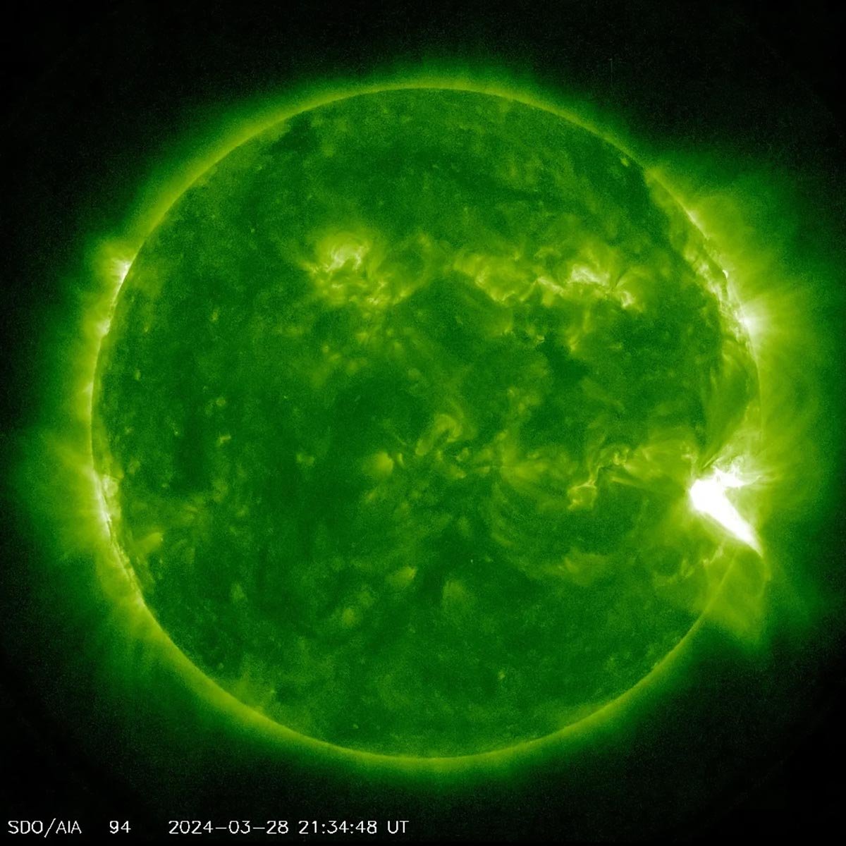 Sun Emits Intense X1.1 Flare