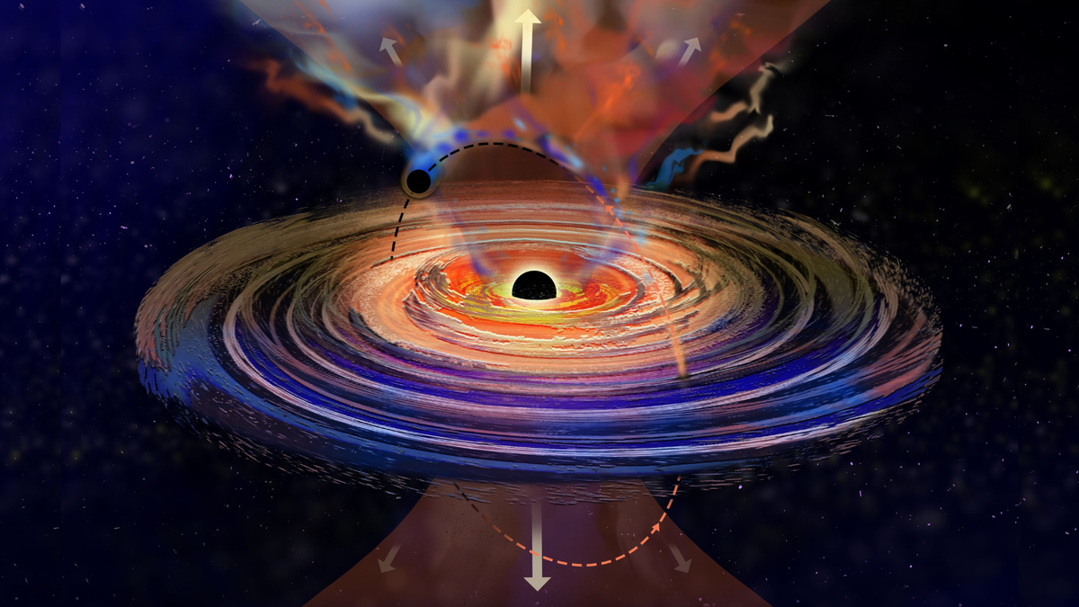 A large black hole has a spinning disk around it It also has a magnetic field represented as an orange cone on top and bottom of the black hole A tiny black hole punches in and out through the disk as it orbits the larger one Plum es from the large disk emerge when the tiny black hole travels The plumes are especially strong in the magnetic fields