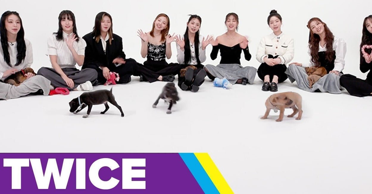 TWICE Played With Puppies And Its My New Favorite Thing
