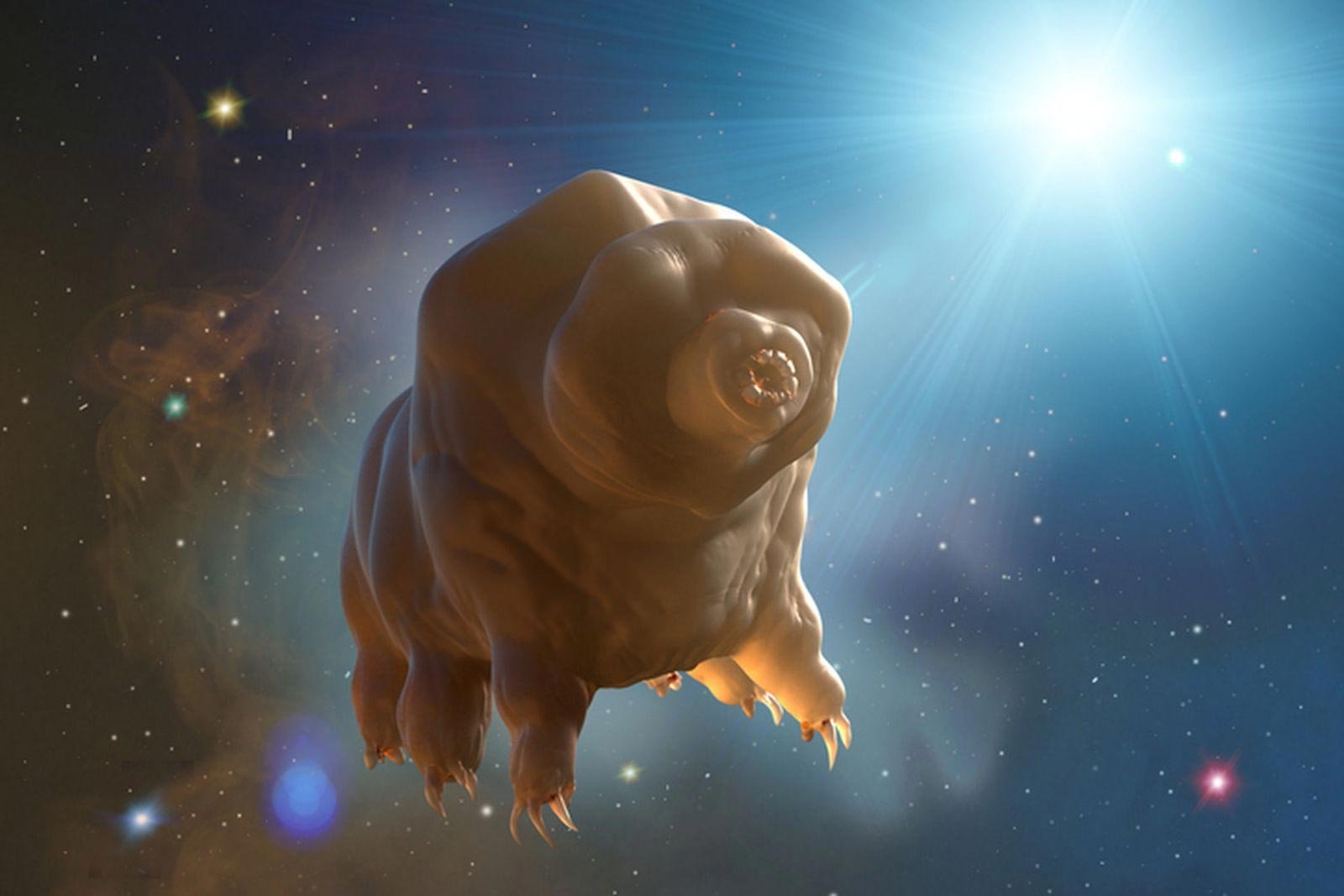 Tardigrade Proteins Slow Aging in Human Cells