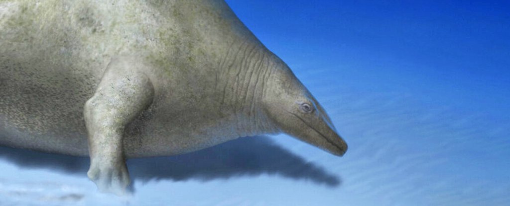 The ‘Largest Creature of All Time’ May Have Been a Physical Impossibility : ScienceAlert