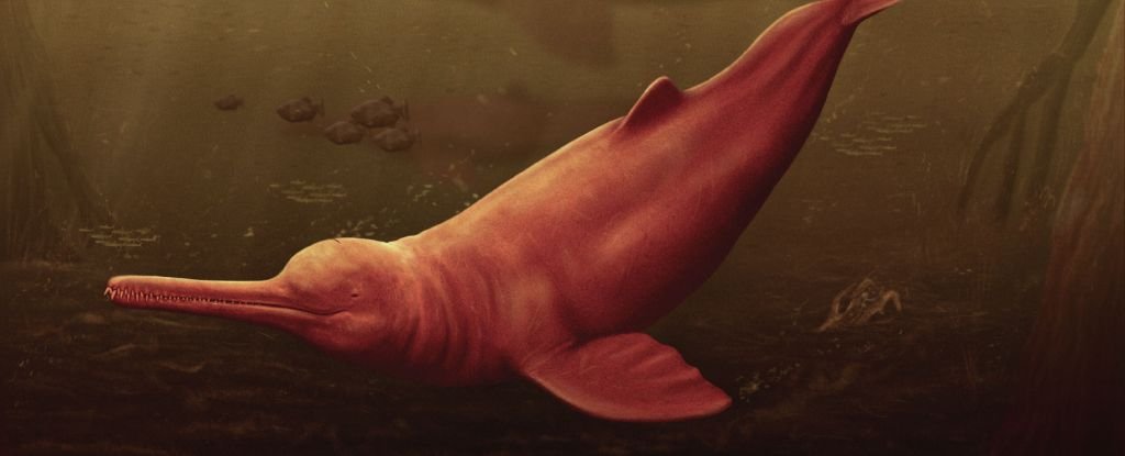 There Was Once a Different Kind of Dolphin in The Amazon, And It Was a Giant : ScienceAlert