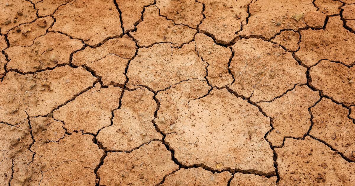 This Overlooked Feedback Loop Is Accelerating Climate Change