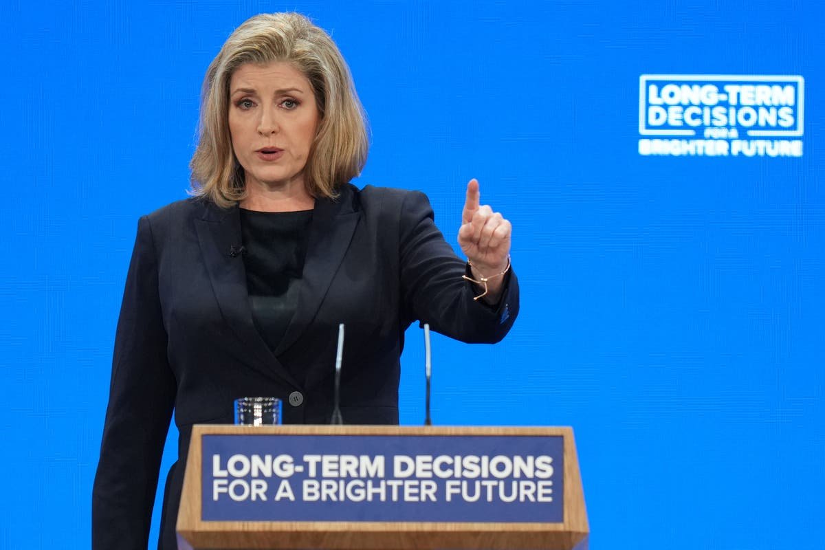 Tories downplay plot to replace Rishi Sunak with Penny Mordaunt