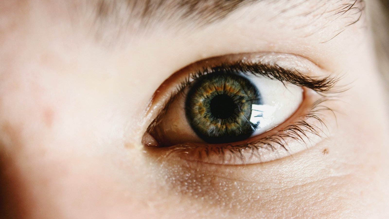 Nourishing Your Eyes: A Guide to Healthy Eyesight and Clear Vision