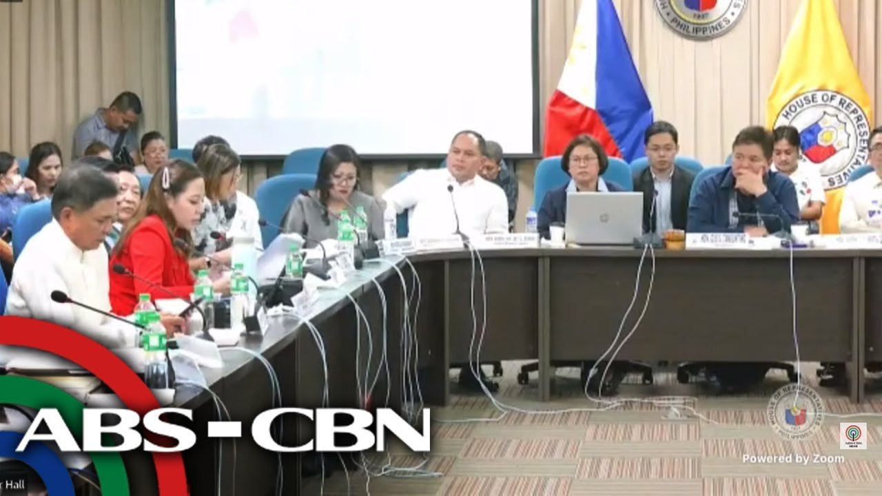 House franchise panel resumes probe on SMNI | ABS-CBN News
