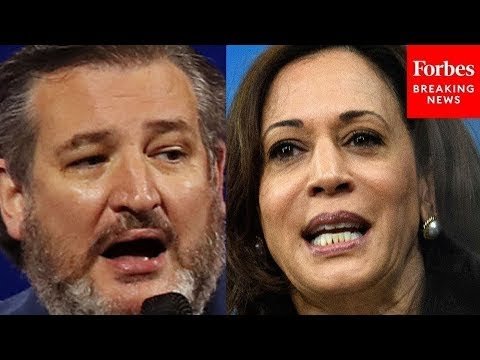 BREAKING: Ted Cruz Hammers Kamala Harris In Senate Hearing
