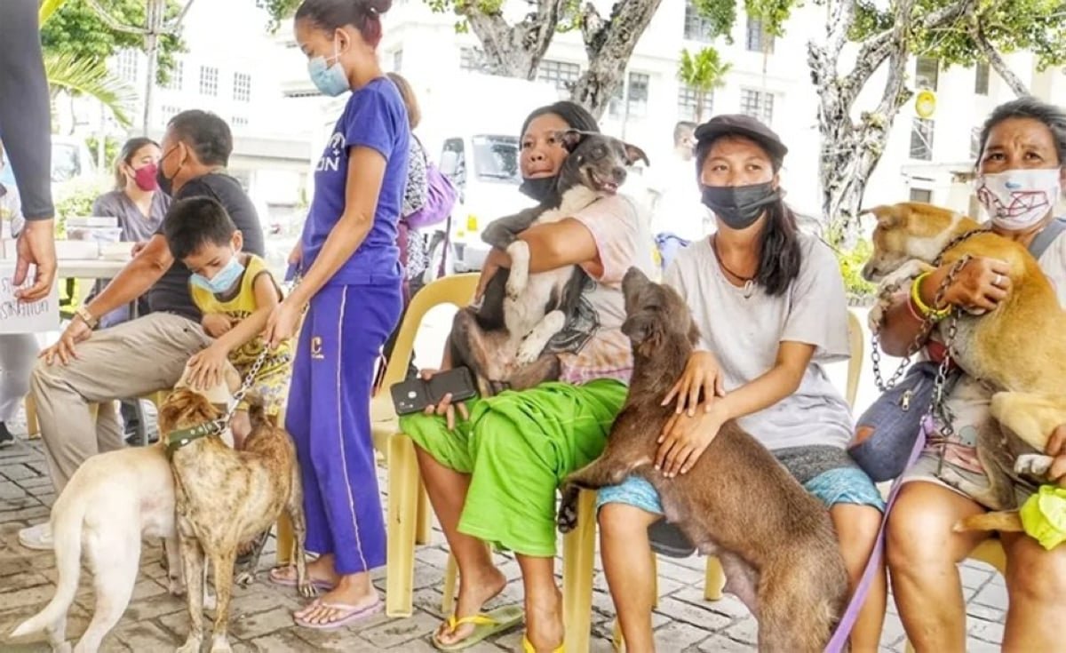 39K cats, dogs vaccinated vs rabies
