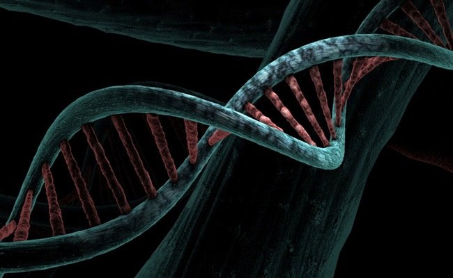 Airborne DNA Can Be Extracted To Be Used For Forensic Analysis Study Finds